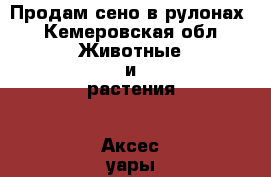 Продам сено в рулонах - Кемеровская обл. Животные и растения » Аксесcуары и товары для животных   